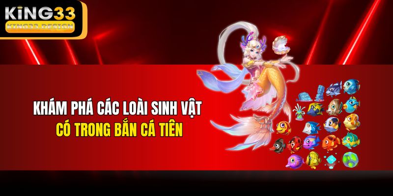 Khám phá các loài sinh vật có trong bắn cá Tiên