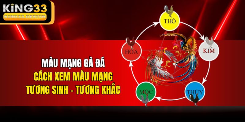 Màu Mạng Gà Đá | Cách Xem Màu Mạng Tương Sinh - Tương Khắc