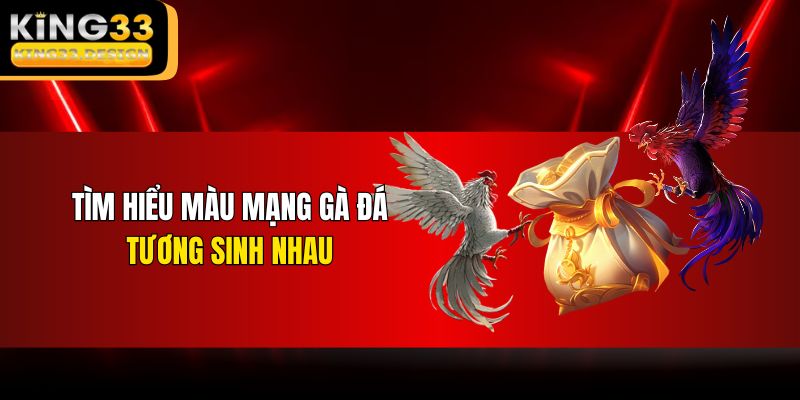 Tìm hiểu màu mạng gà đá tương sinh nhau